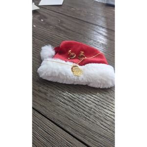 Santa Claus Necklace and Earrings